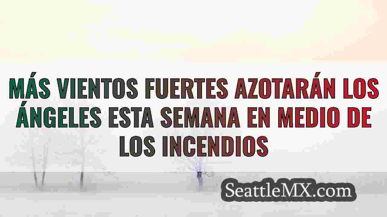 Noticias de Seattle SeattleMX