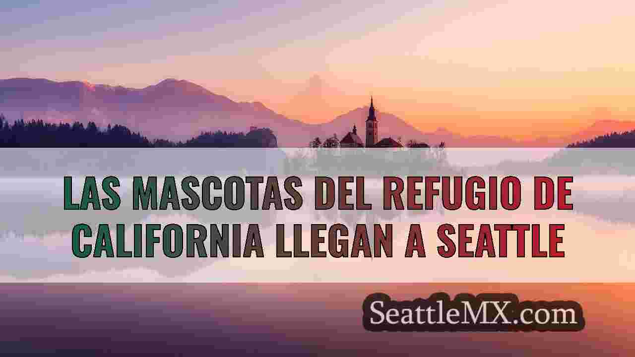 Noticias de Seattle SeattleMX
