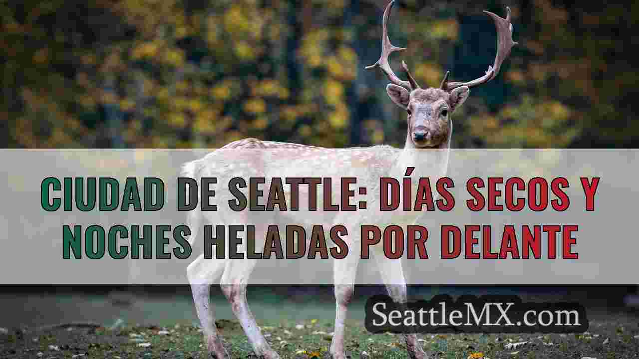 Noticias de Seattle SeattleMX