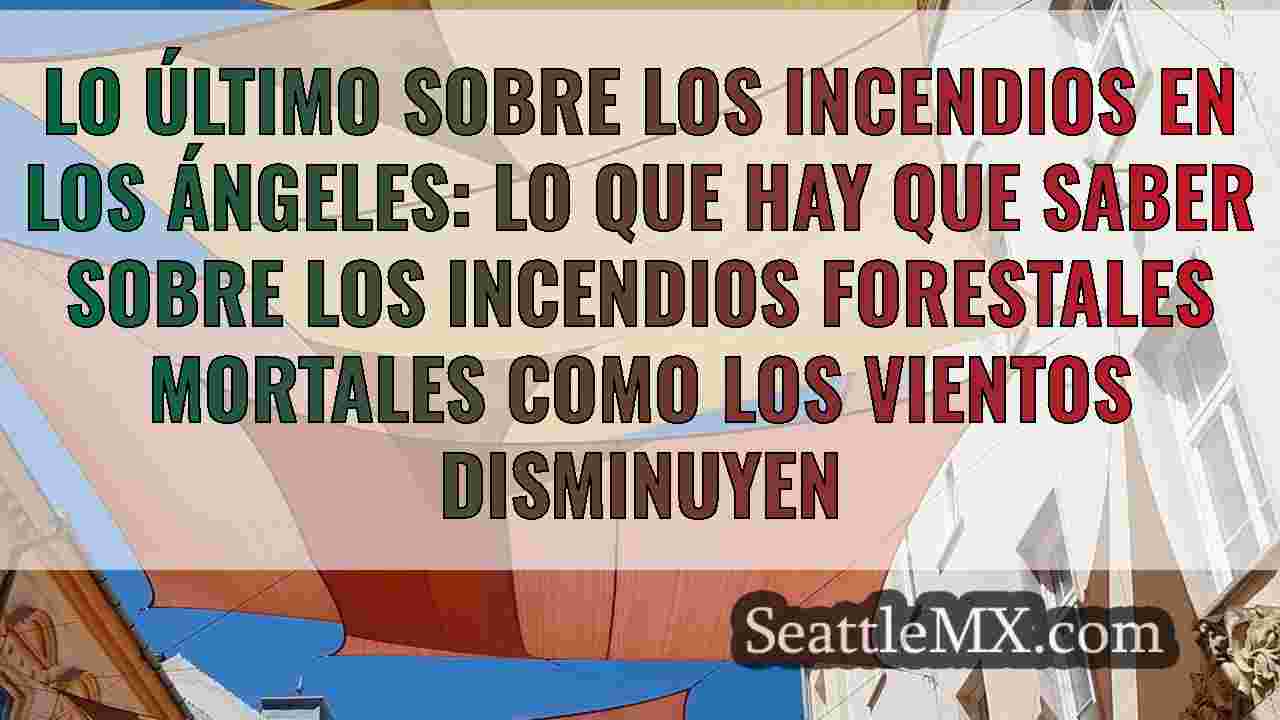 Noticias de Seattle SeattleMX