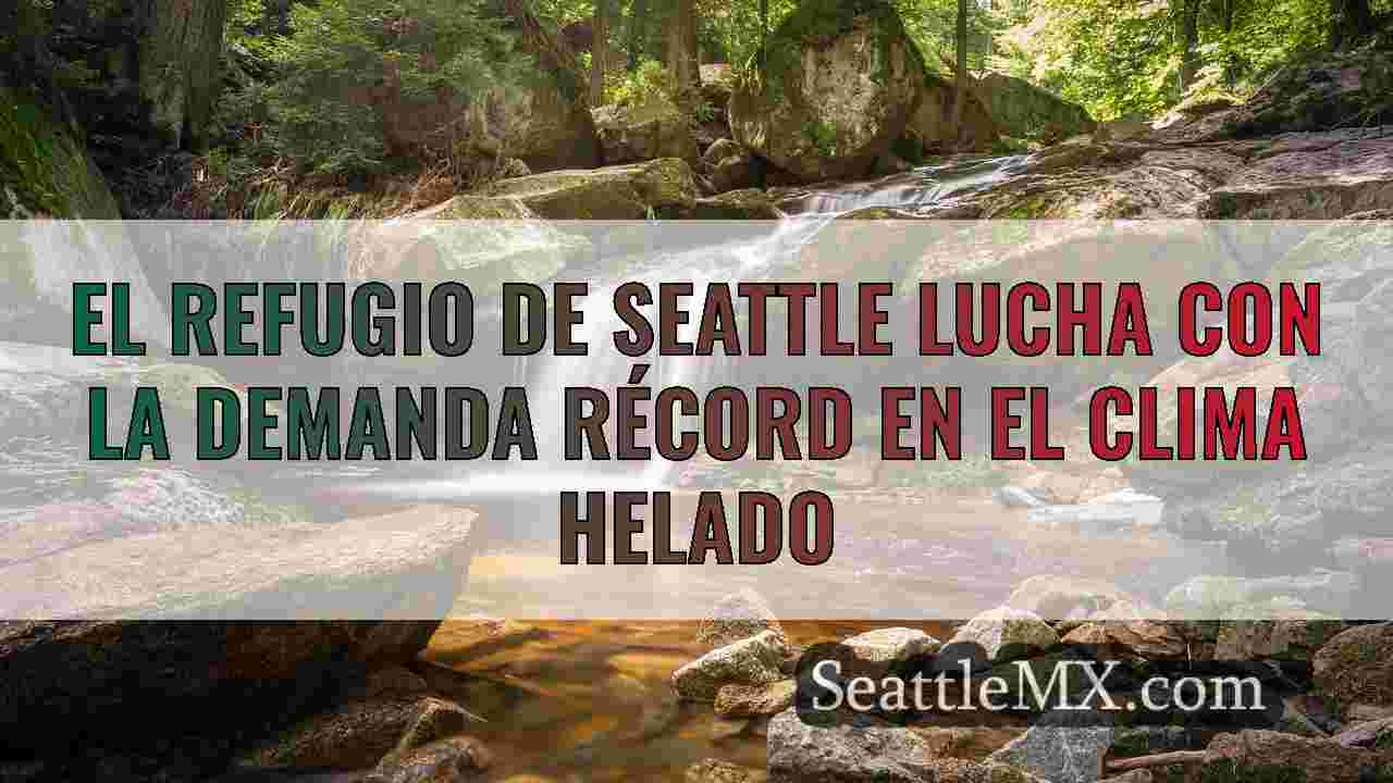 El refugio de Seattle lucha con la