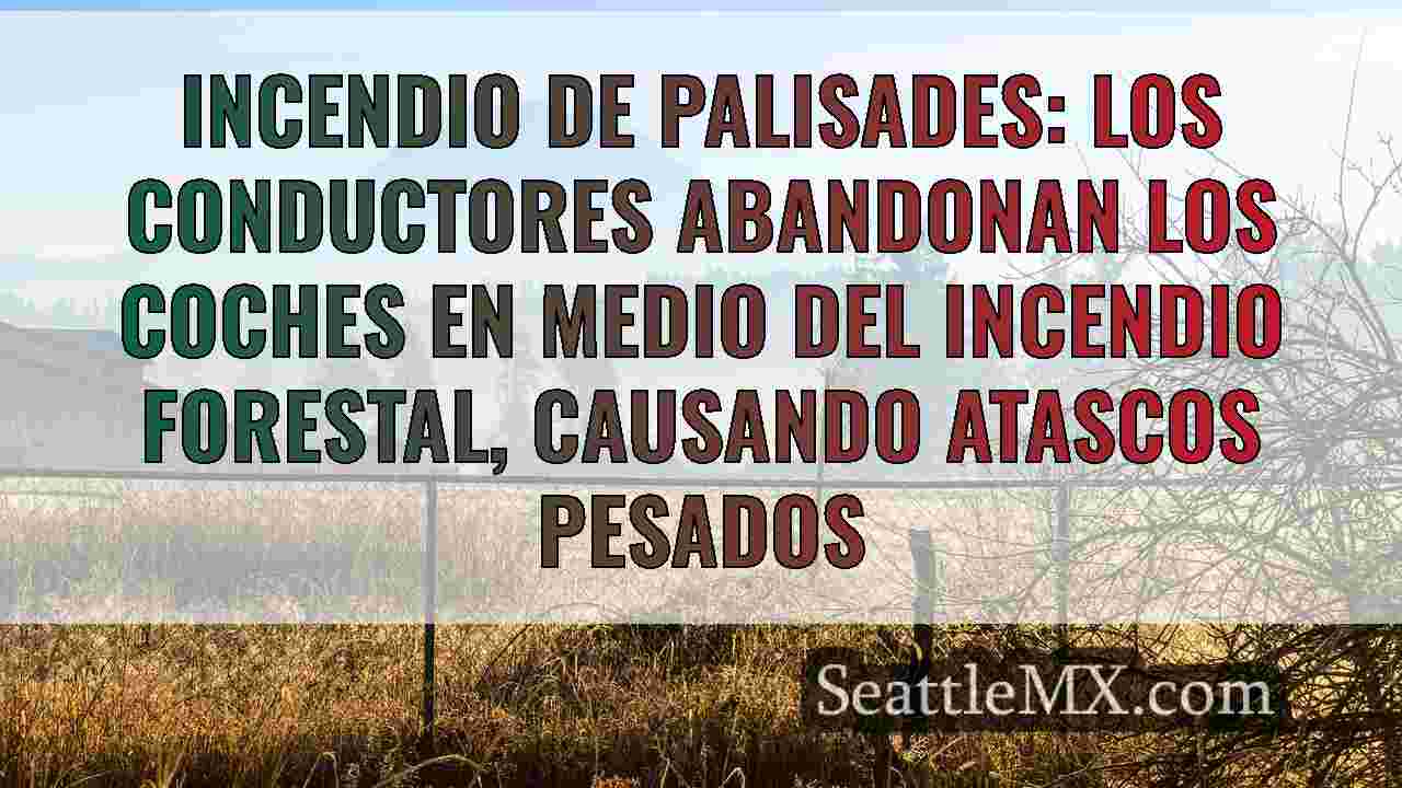 Últimos incendios forestales en Los