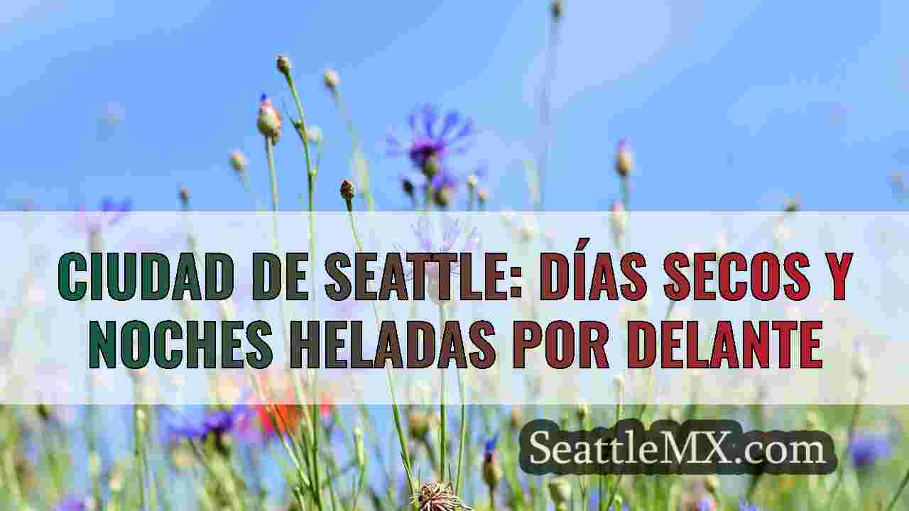 Noticias de Seattle SeattleMX