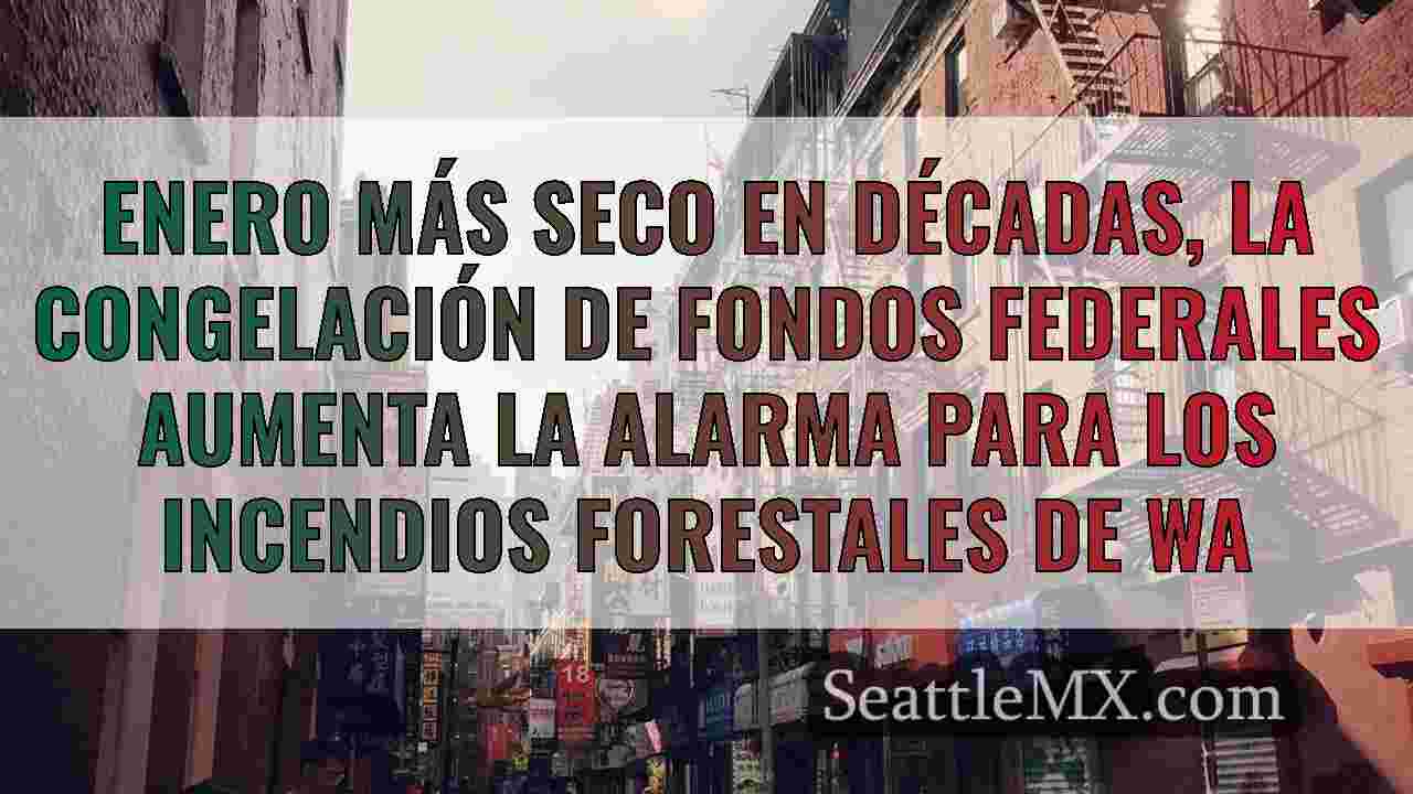 Noticias de Seattle SeattleMX