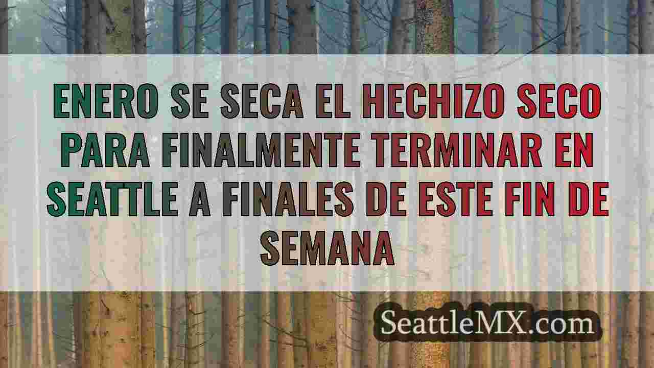 Noticias de Seattle SeattleMX