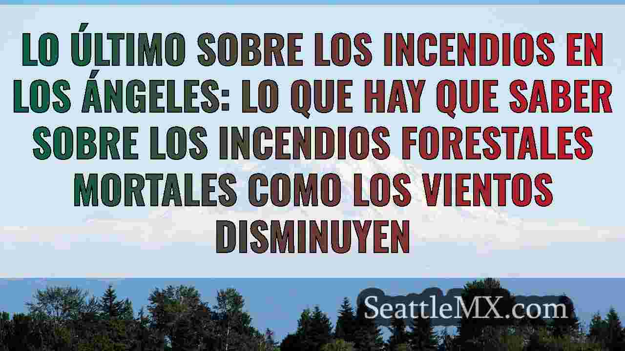 Lo último sobre los incendios en Los