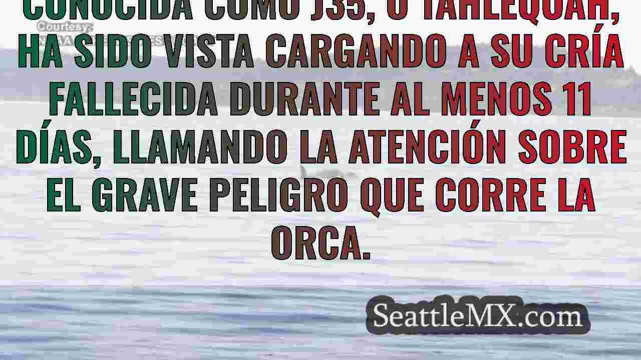 Noticias de Seattle SeattleMX