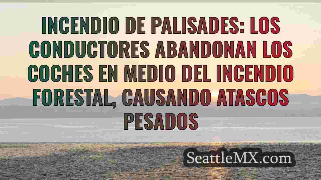 Últimos incendios forestales en Los