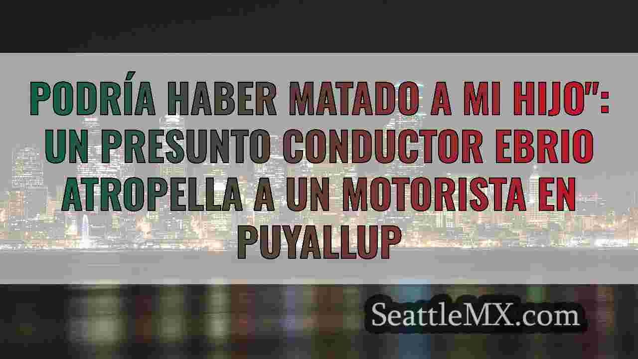 Podrías haber matado a mi hijo: Un