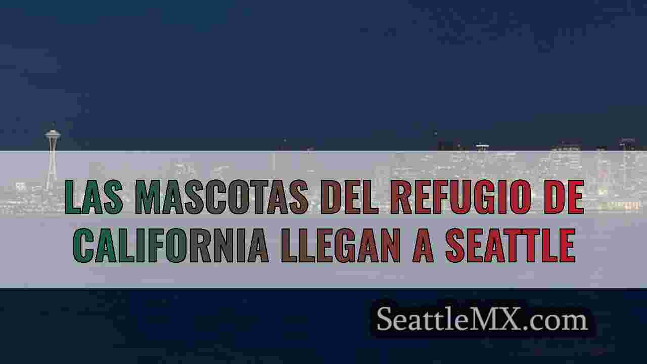 Incendios forestales en California: