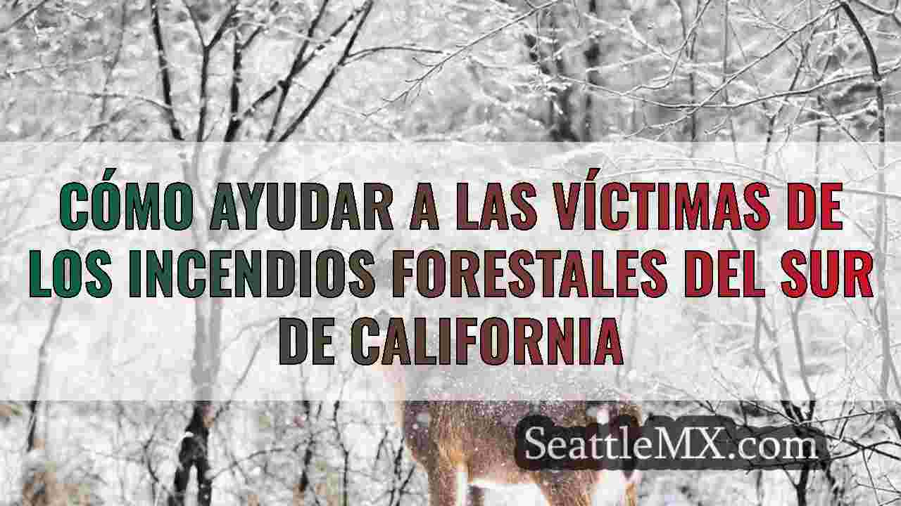 Noticias de Seattle SeattleMX