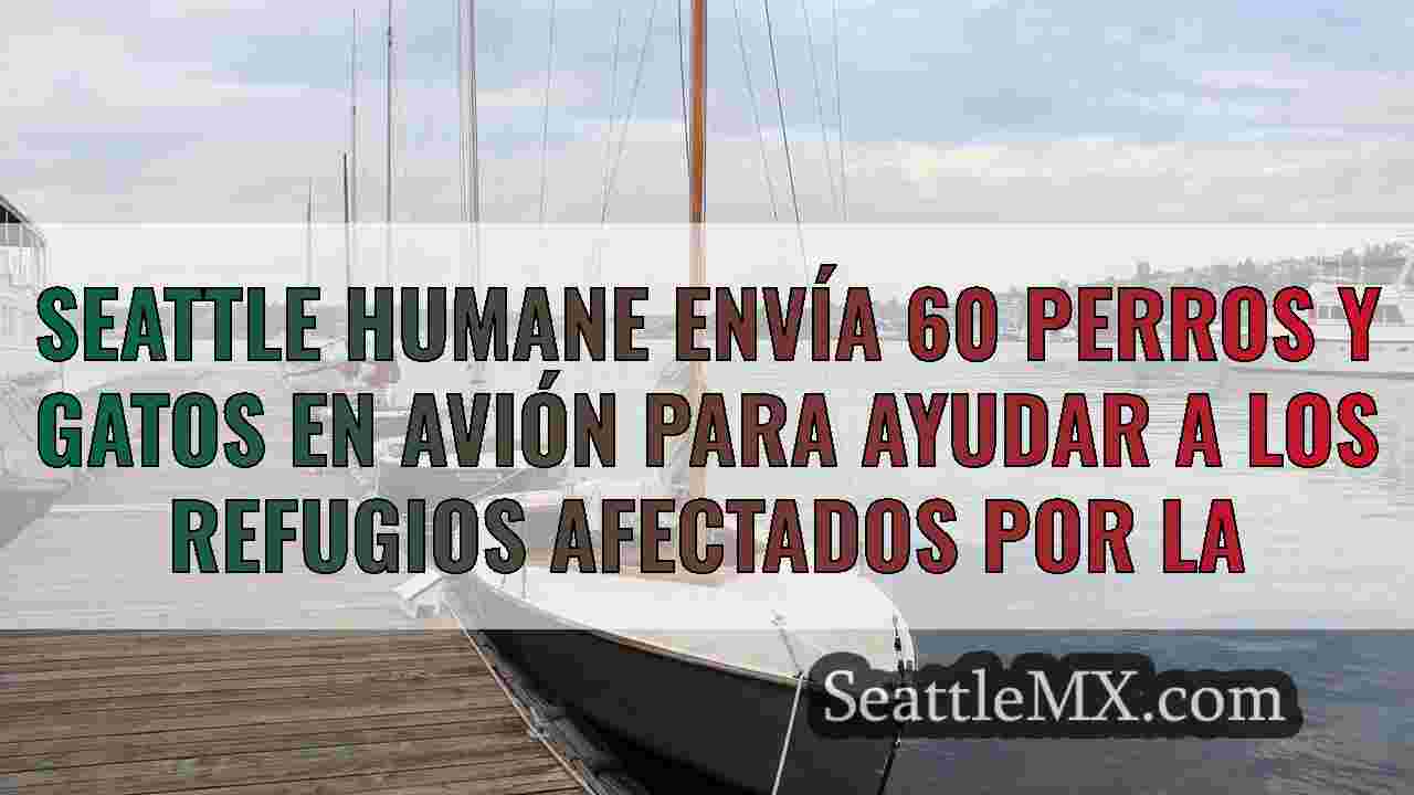 Seattle Humane envía 60 perros y gatos