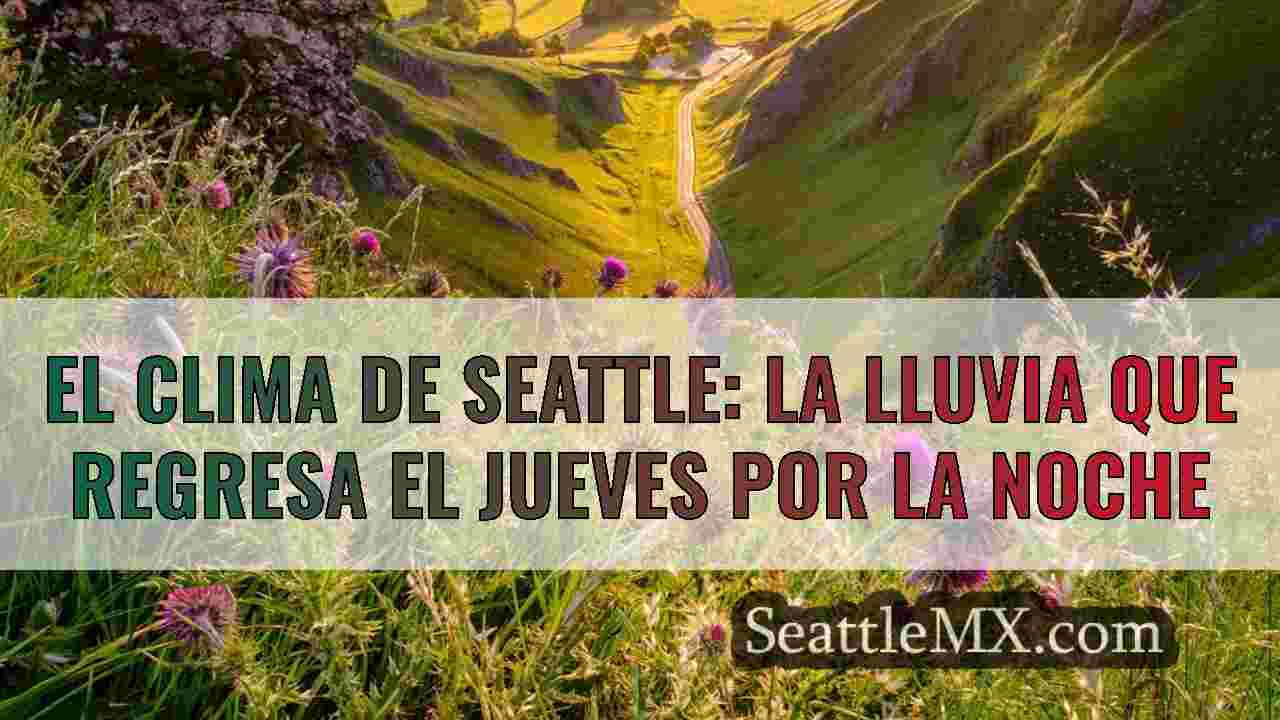 Noticias de Seattle SeattleMX