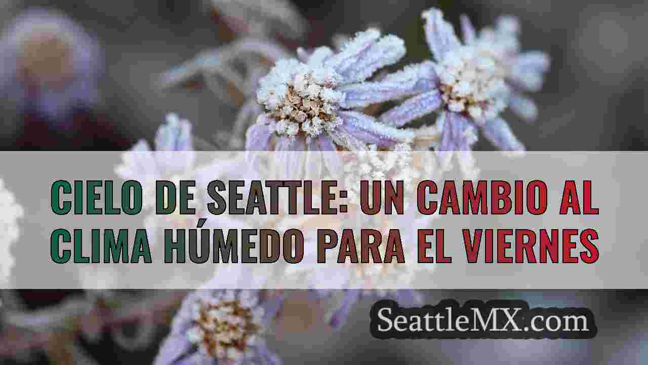 Noticias de Seattle SeattleMX