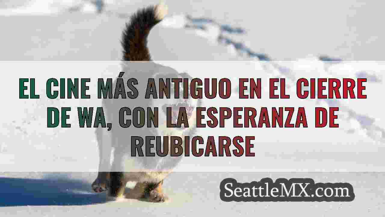 Noticias de Seattle SeattleMX