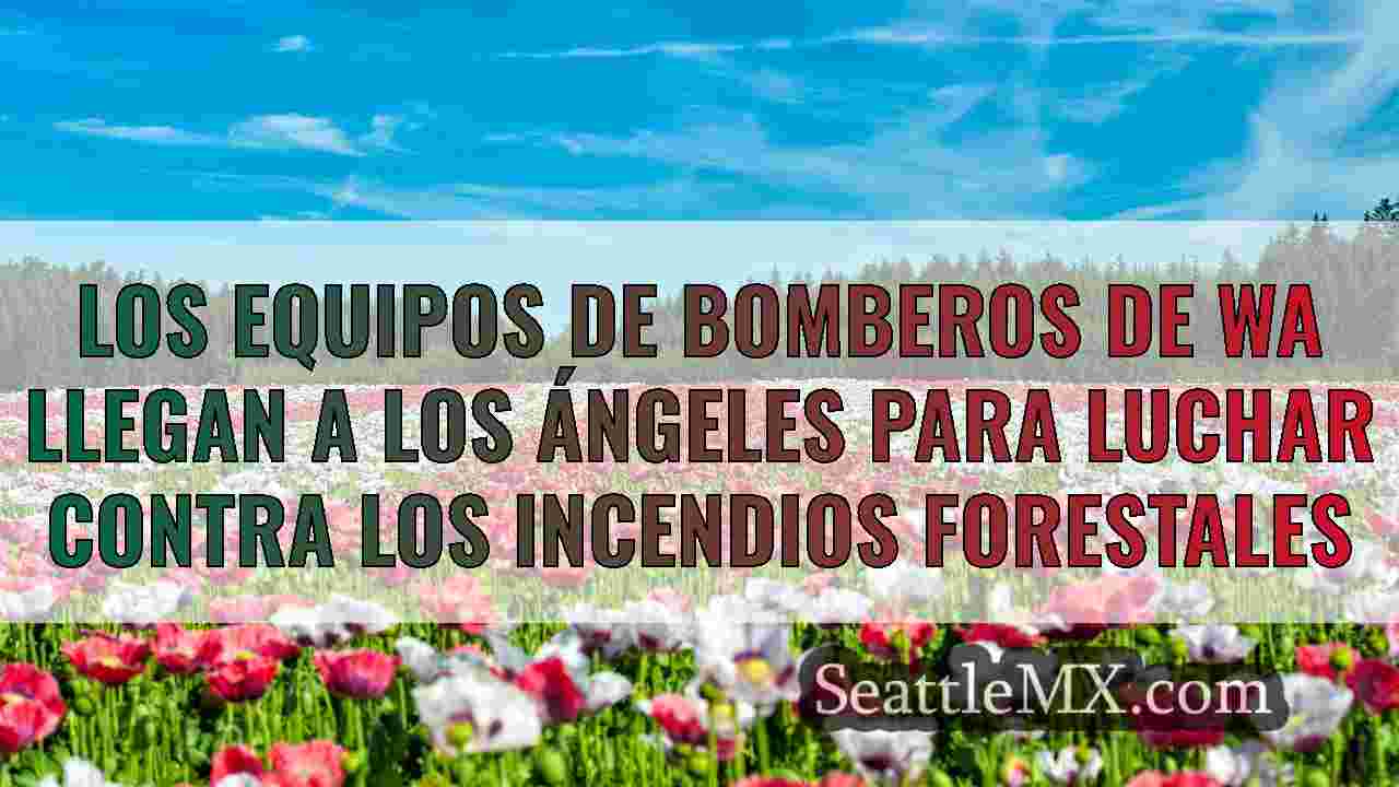 Los bomberos de Washington llegan al