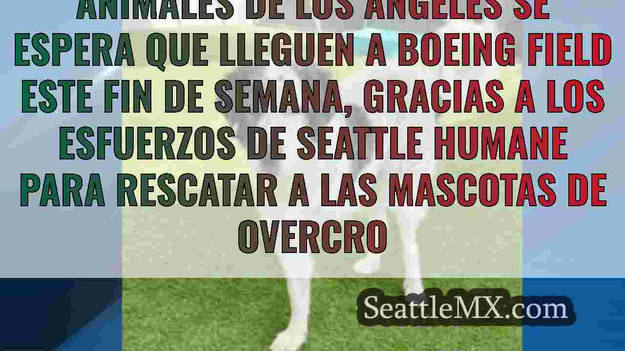 Noticias de Seattle SeattleMX