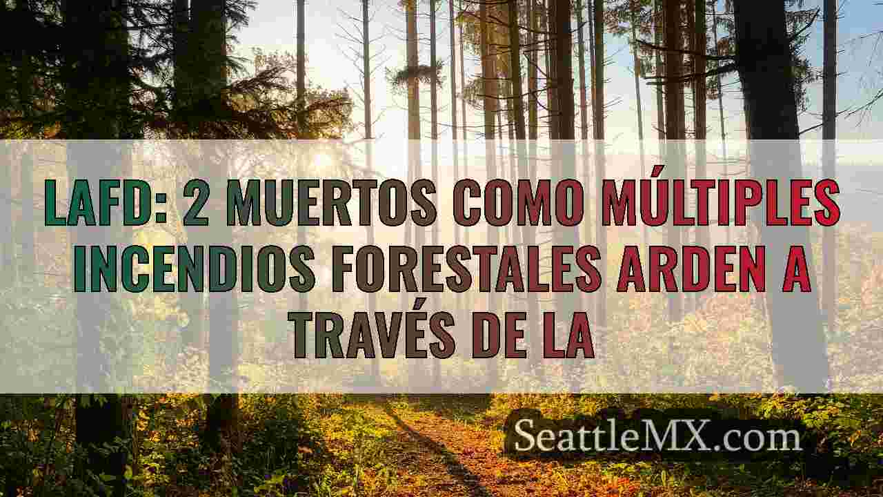 Noticias de Seattle SeattleMX