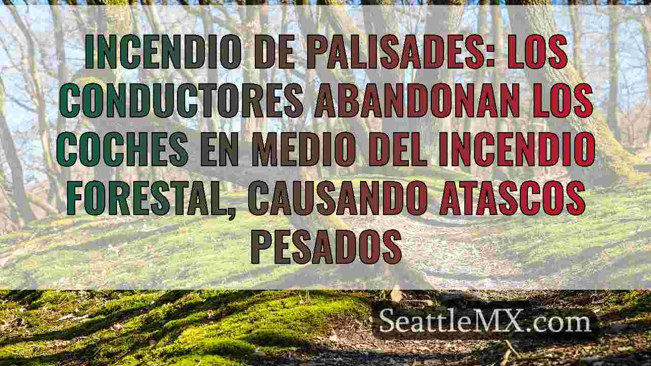 Noticias de Seattle SeattleMX