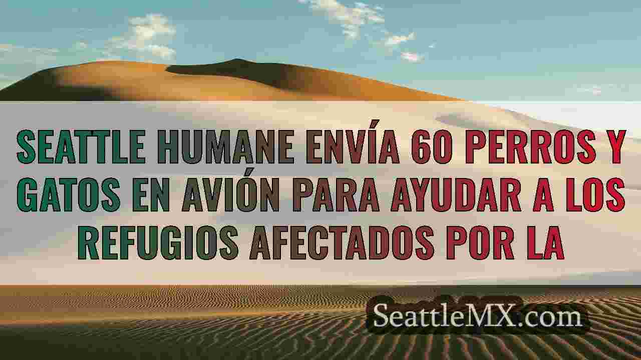 Noticias de Seattle SeattleMX