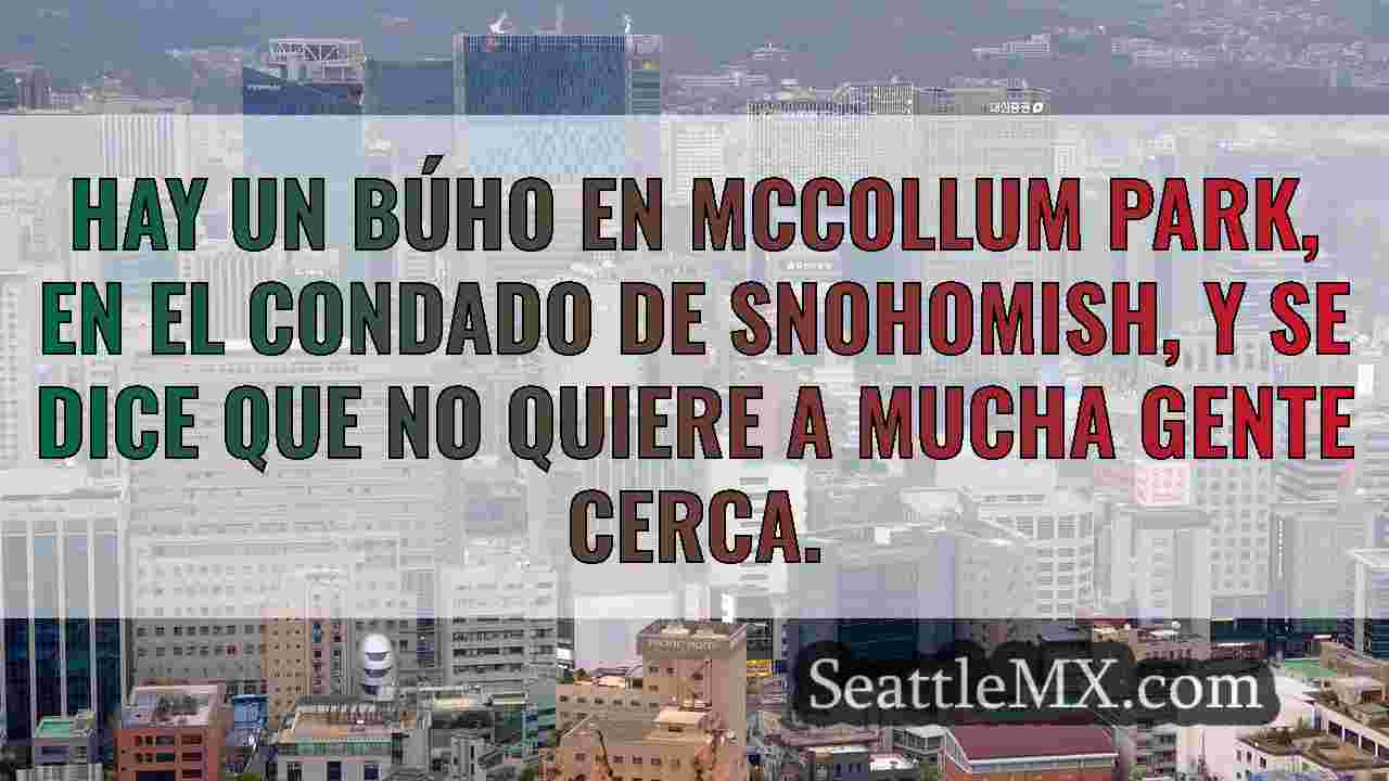 Noticias de Seattle SeattleMX