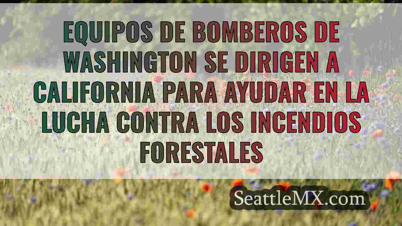 Noticias de Seattle SeattleMX