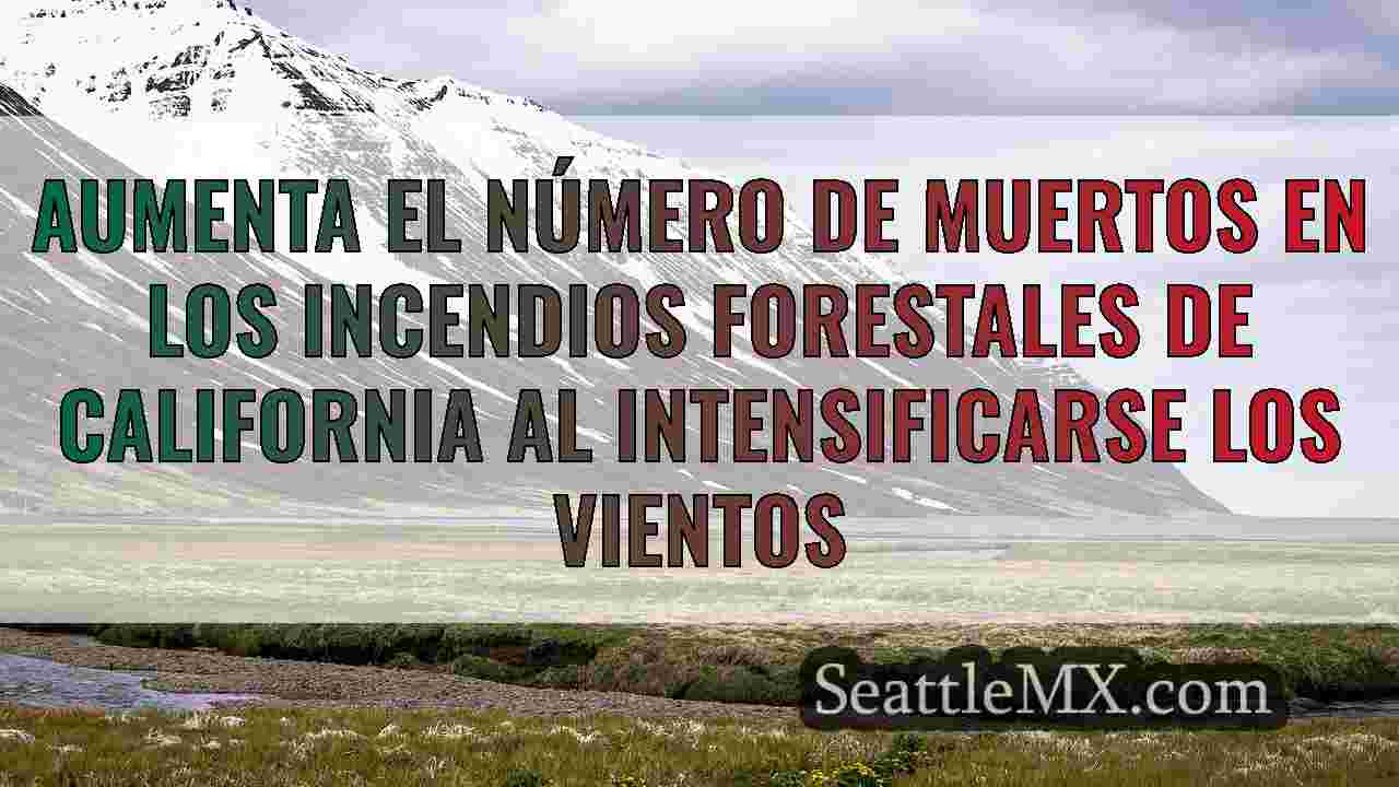 Últimos incendios en California: 24