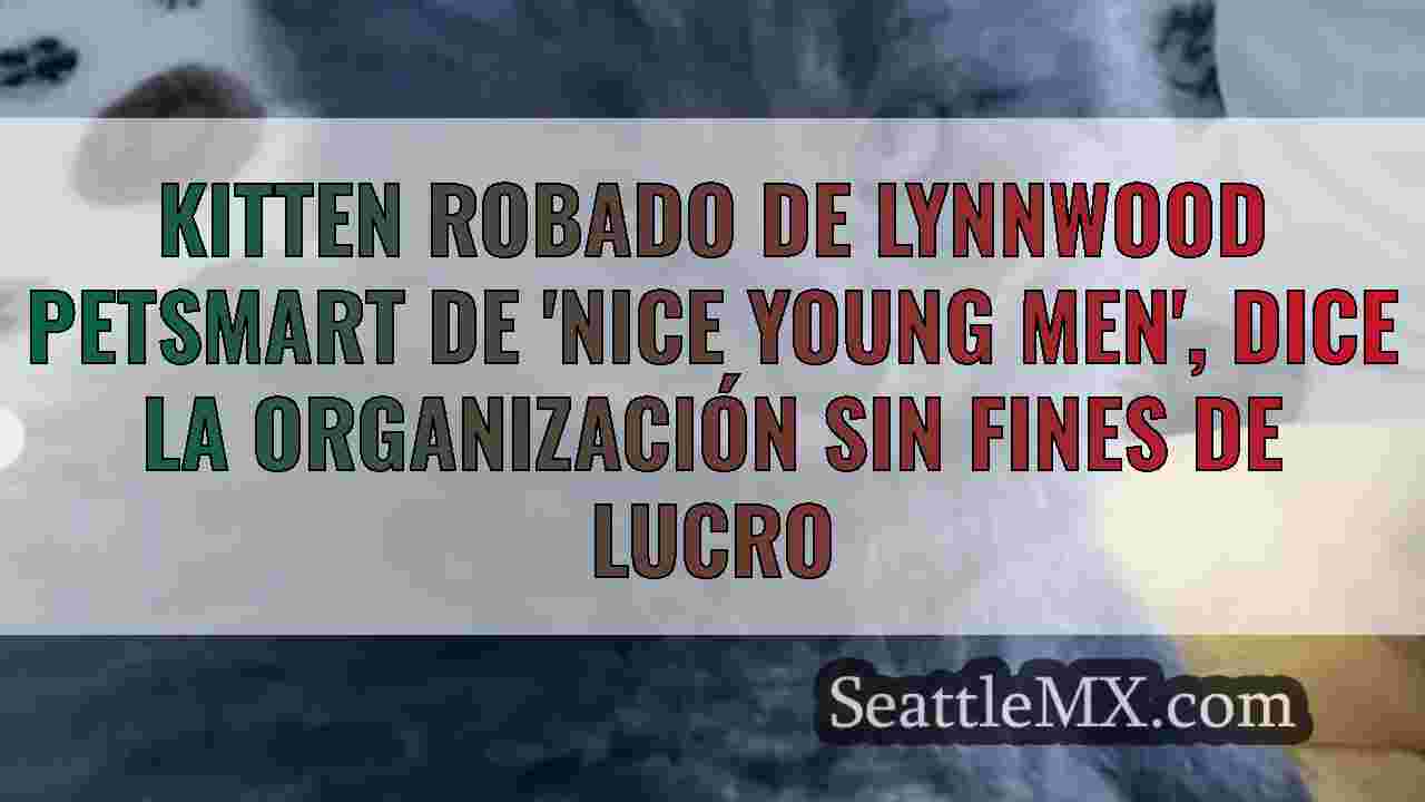 Noticias de Seattle SeattleMX