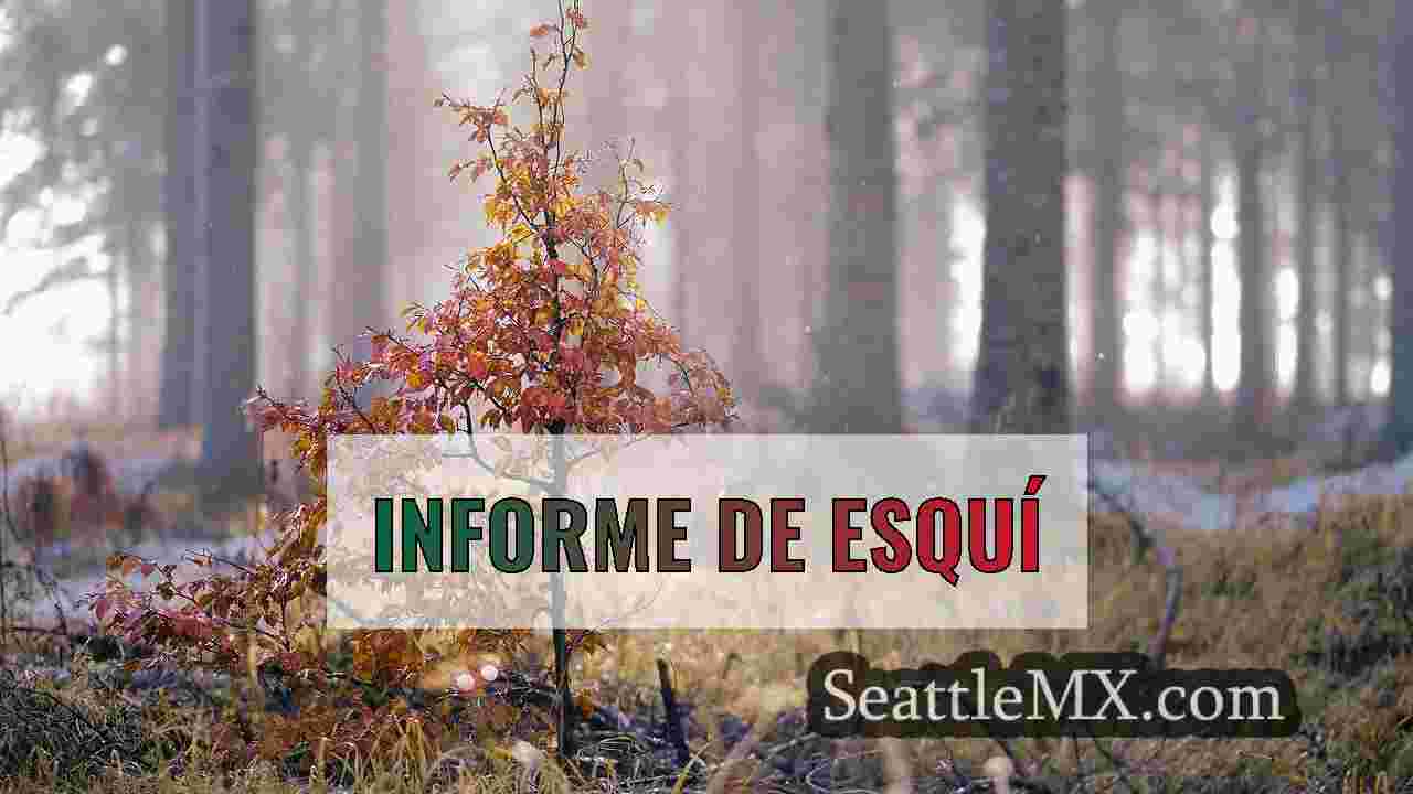 Noticias de Seattle SeattleMX