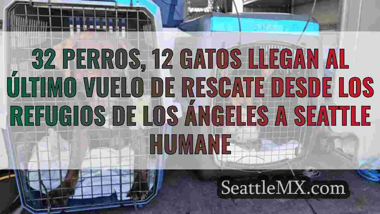 Noticias de Seattle SeattleMX