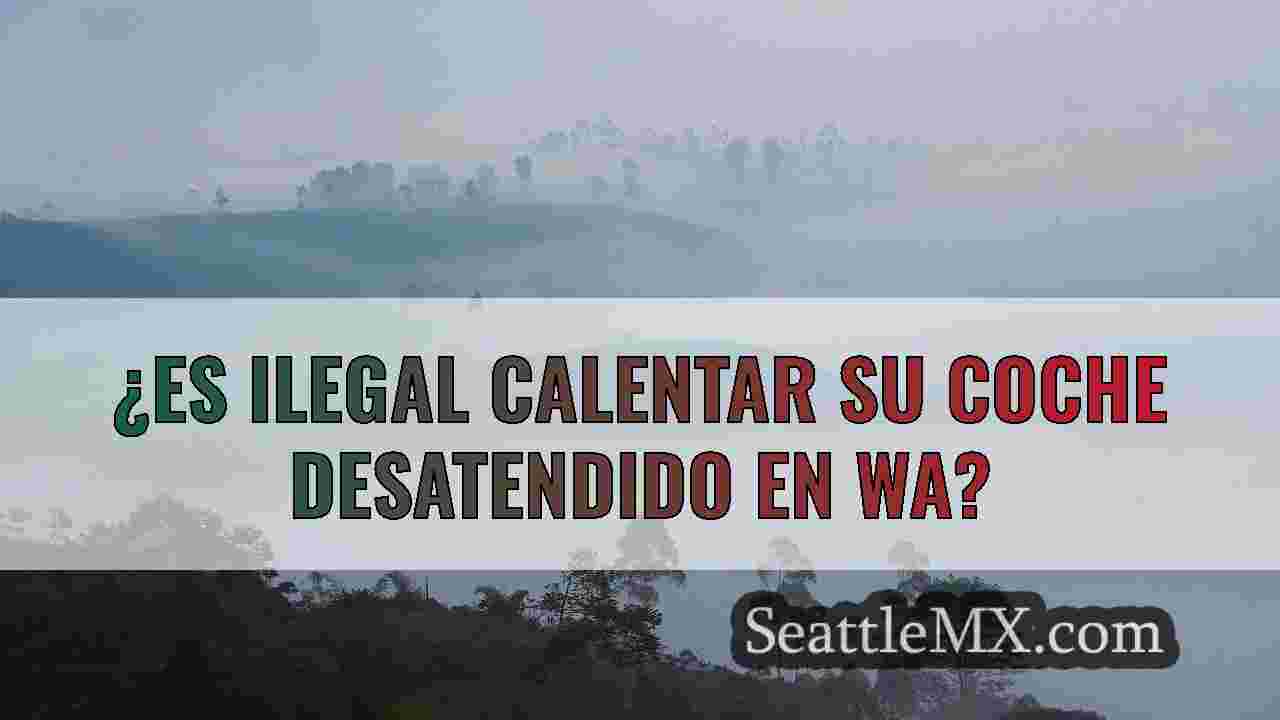 ¿Es ilegal calentar su coche