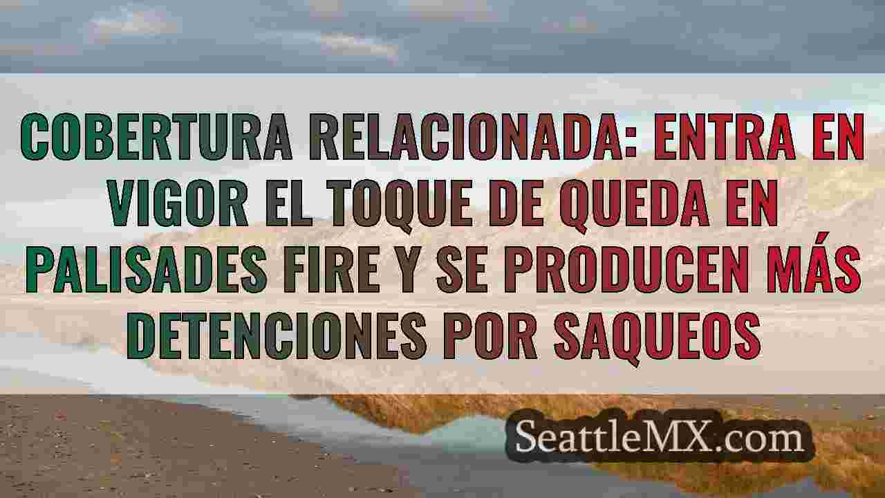 EN DIRECTO: 9 acusados de saqueo en los