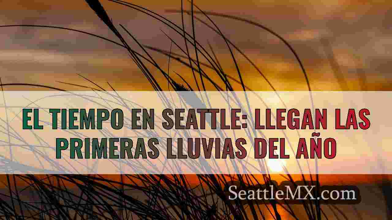El tiempo en Seattle: Comienzo de año