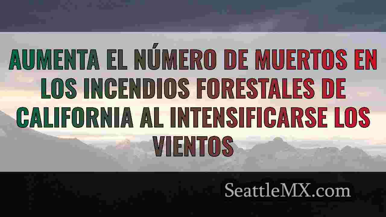 Noticias de Seattle SeattleMX