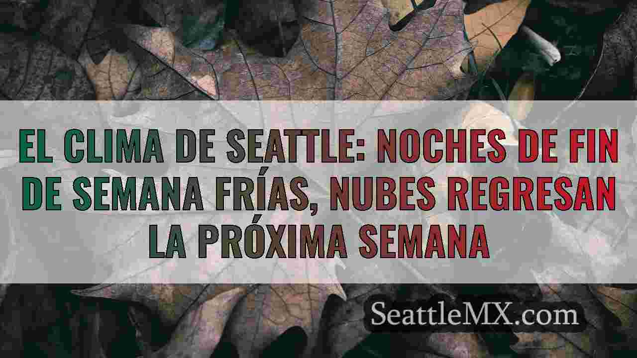 Noticias de Seattle SeattleMX