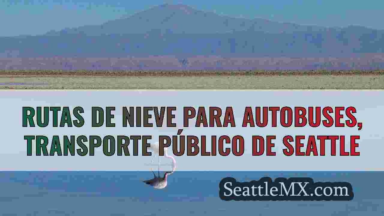 Noticias de Seattle SeattleMX