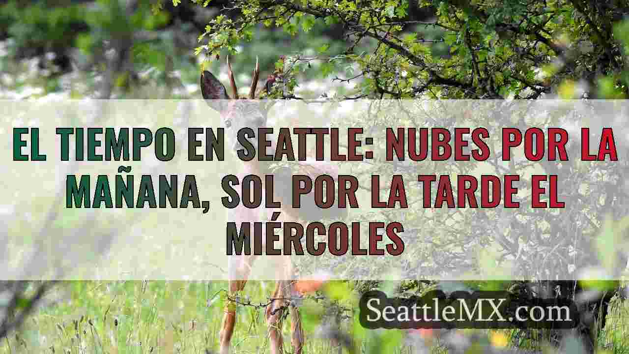 Noticias de Seattle SeattleMX