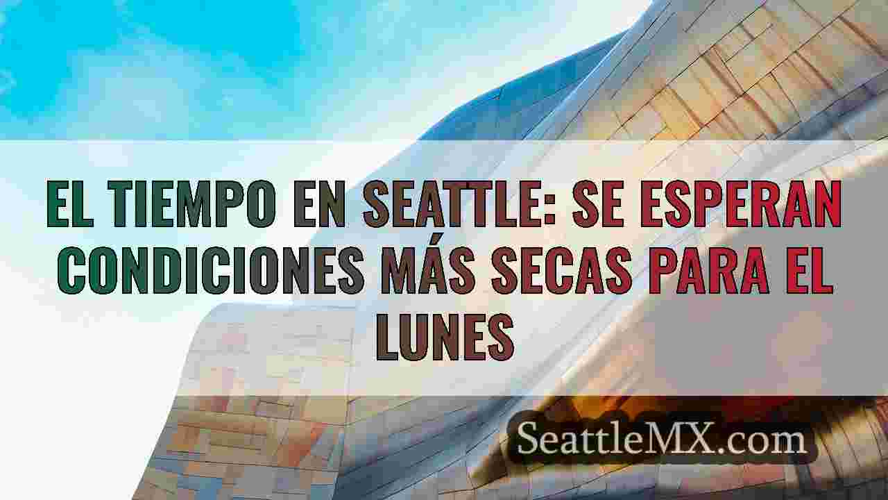 Hermoso sol de enero y tiempo