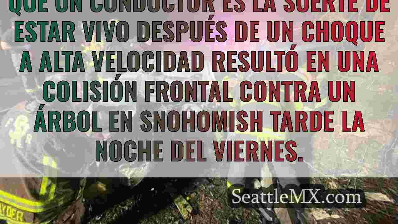 Noticias de Seattle SeattleMX