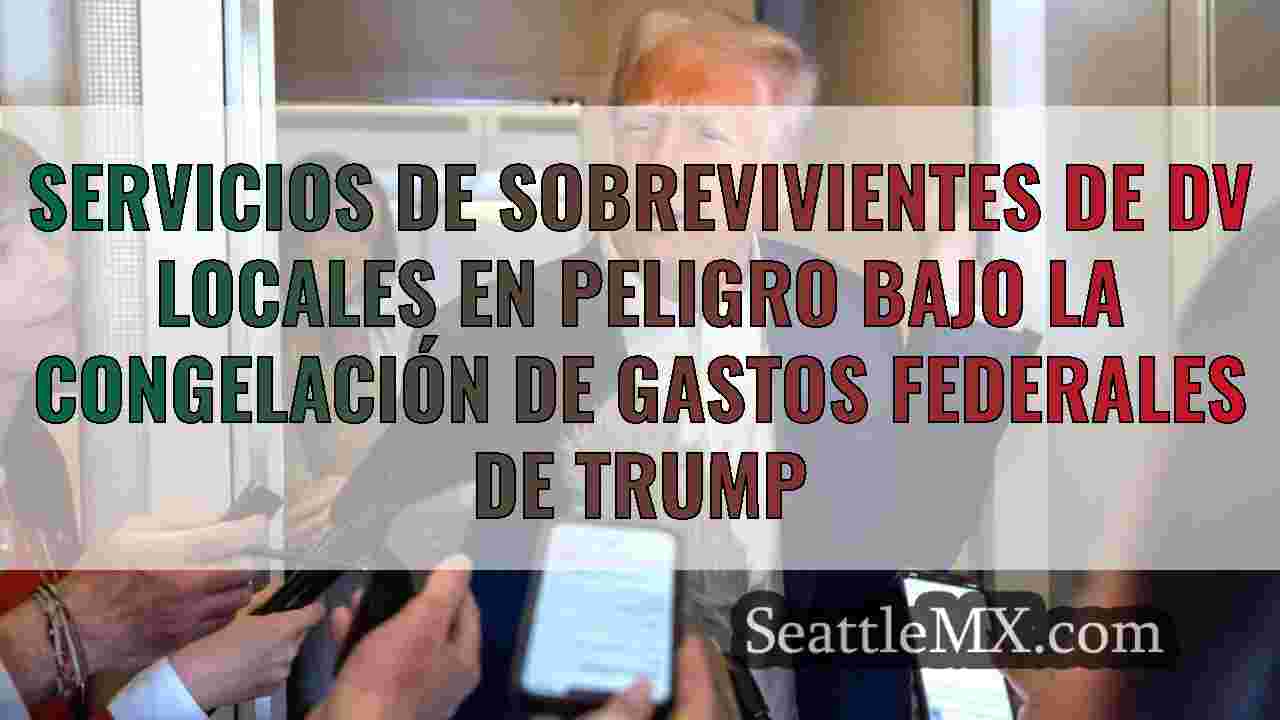 Servicios de sobrevivientes de DV
