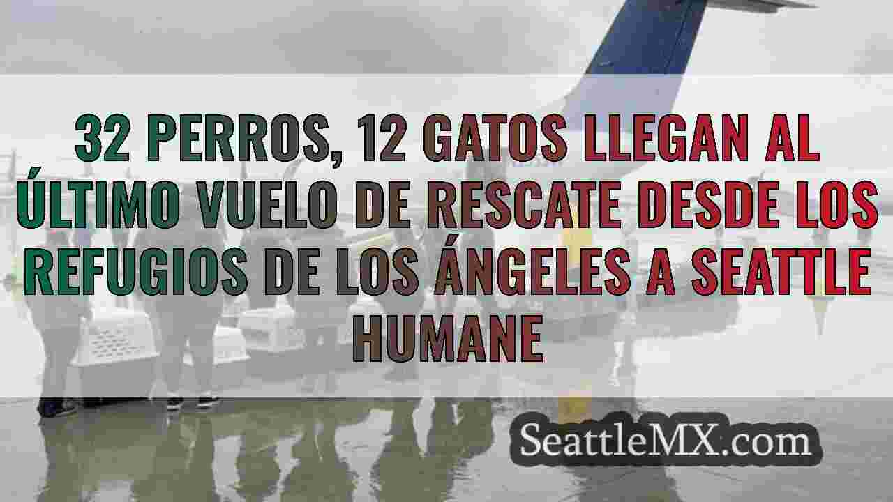 Noticias de Seattle SeattleMX
