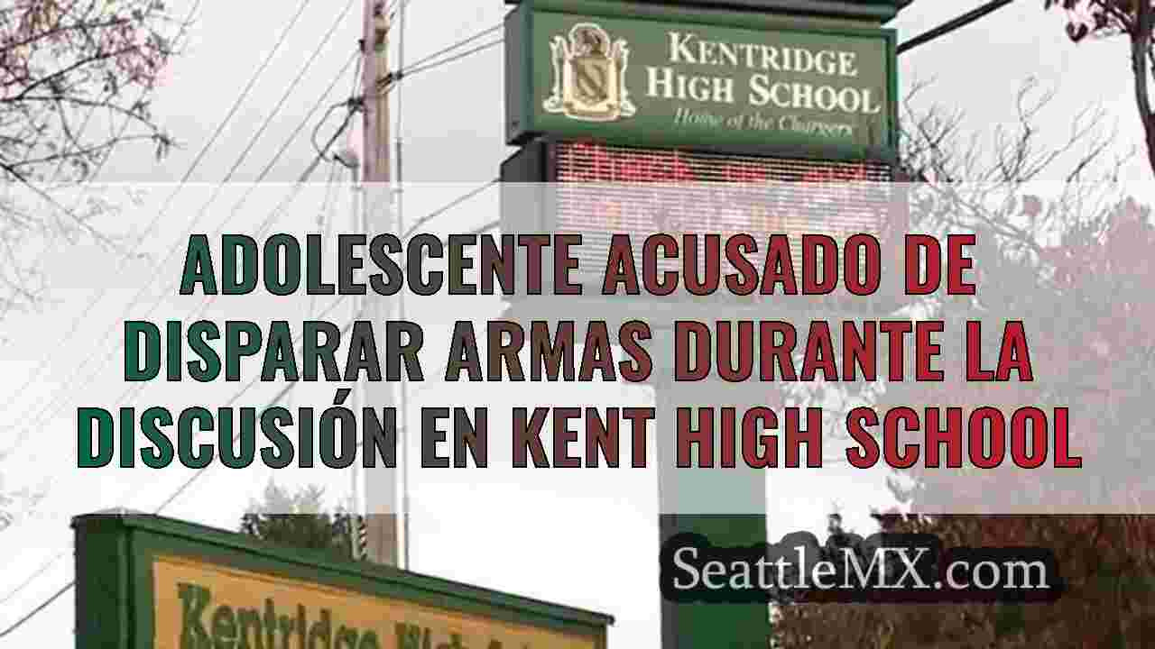 Adolescente acusado de disparar armas