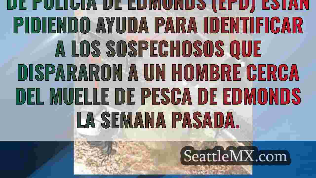 Noticias de Seattle SeattleMX