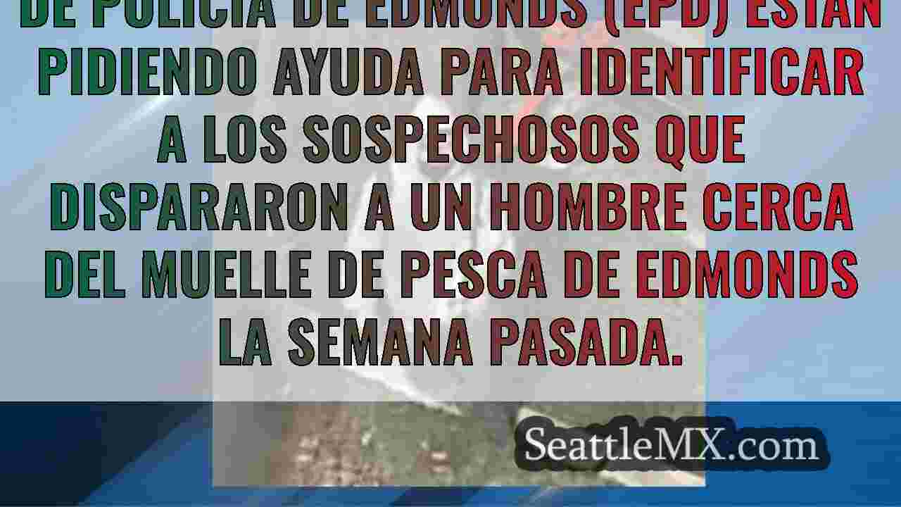 La policía necesita ayuda para
