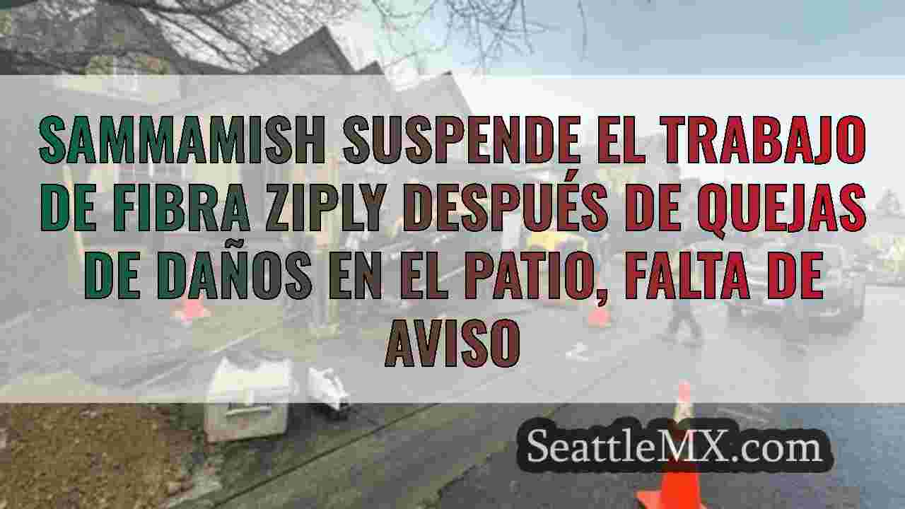 Sammamish suspende el trabajo de fibra
