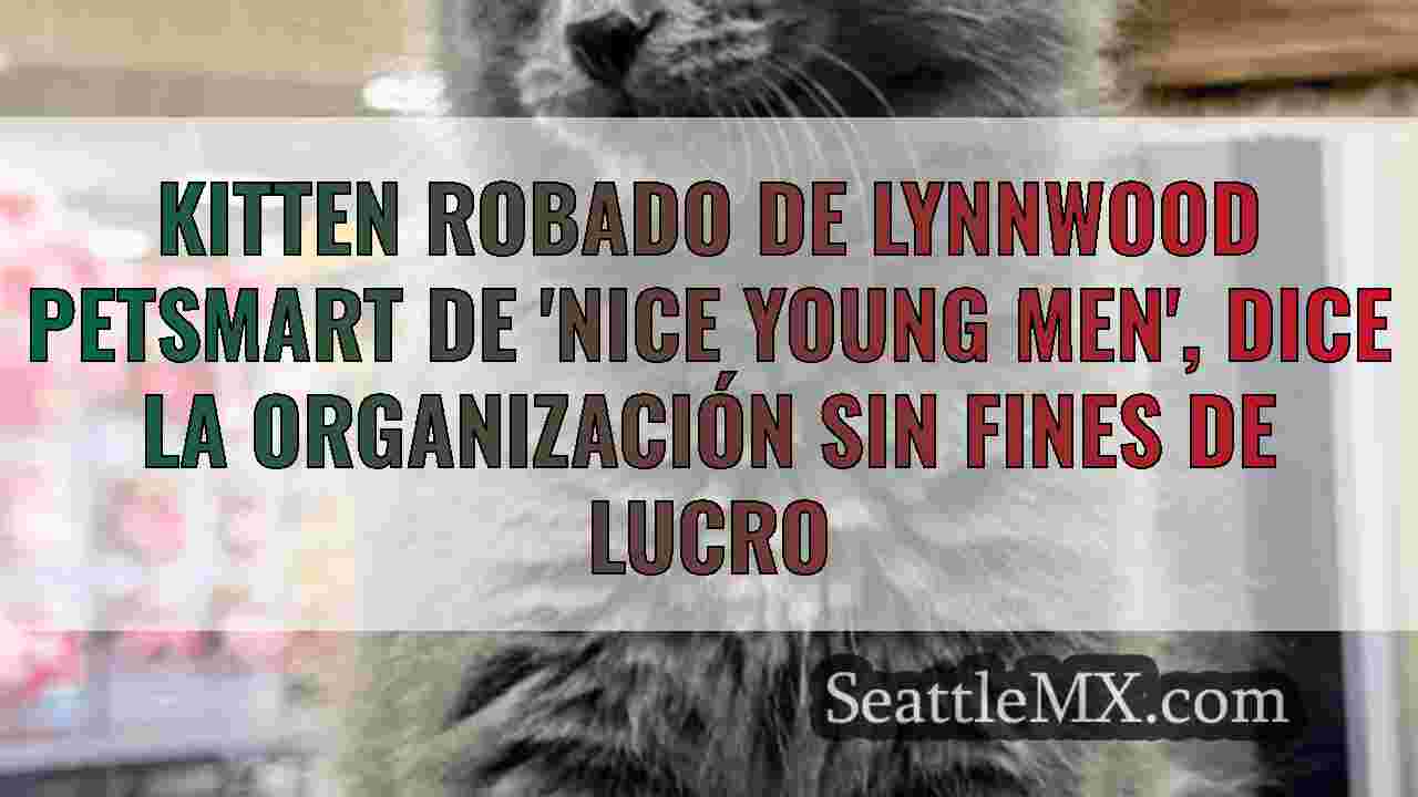 Noticias de Seattle SeattleMX