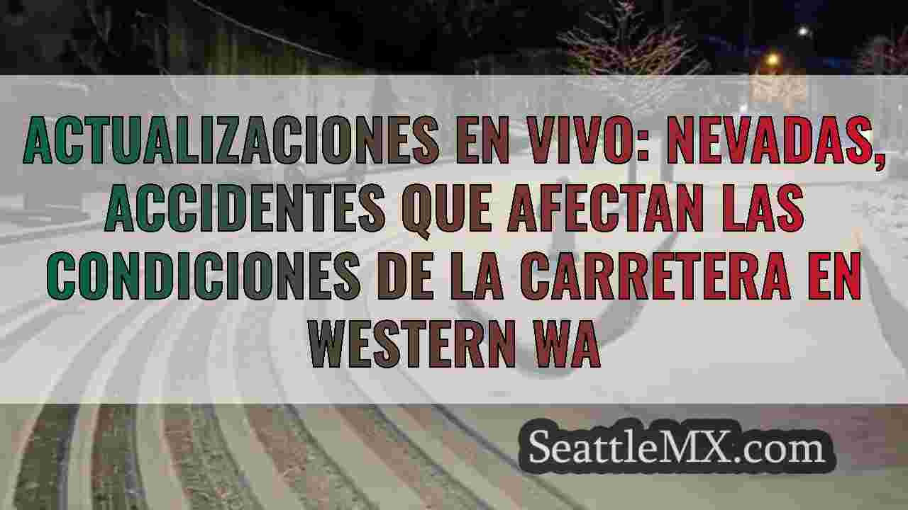 Actualizaciones en vivo: nevadas,