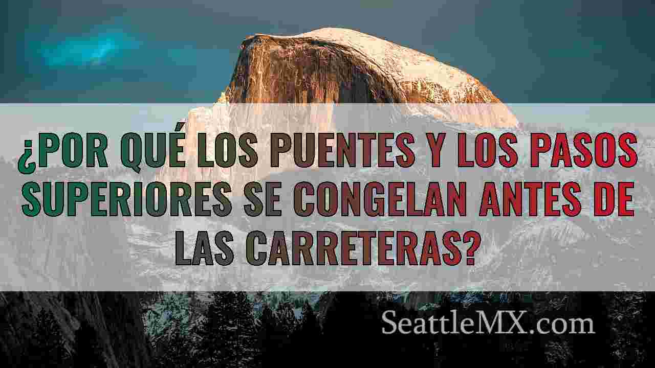 Noticias de Seattle SeattleMX