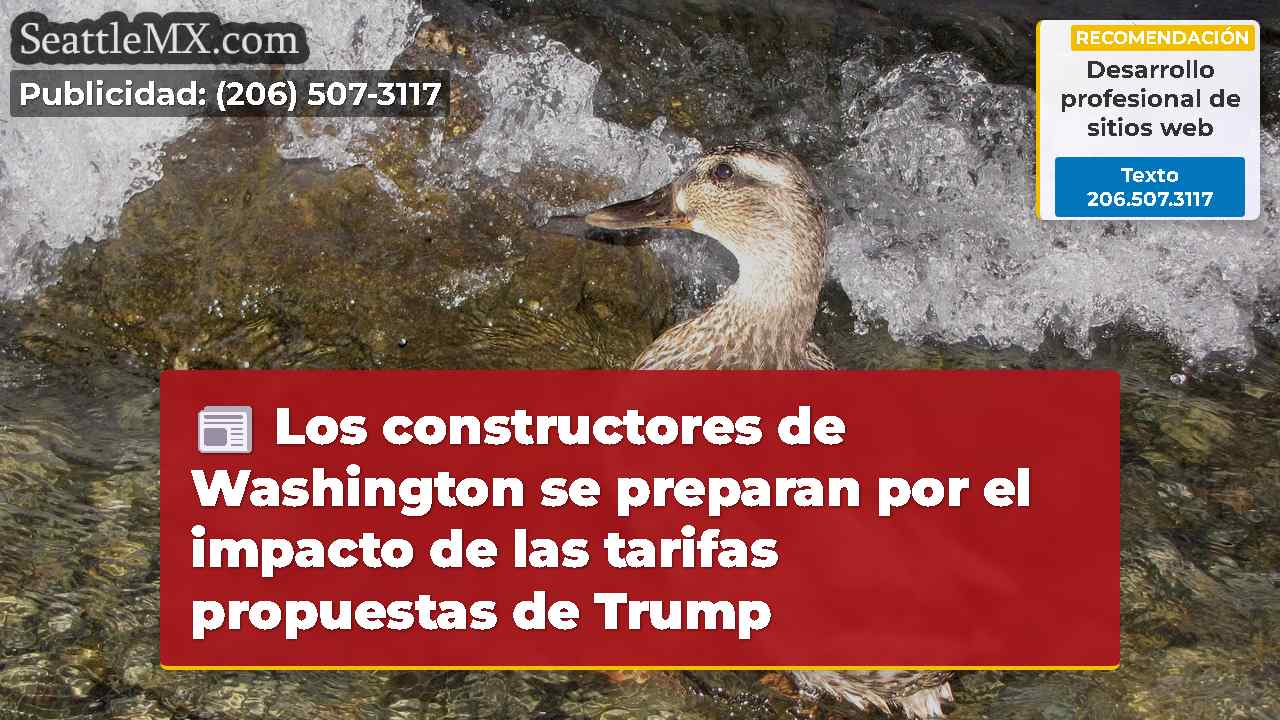 Noticias de Seattle SeattleMX