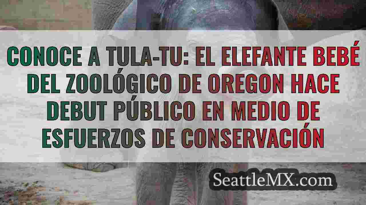 Conoce a Tula-TU: el elefante bebé del